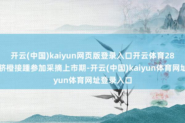 开云(中国)kaiyun网页版登录入口开云体育28万亩邻水脐橙接踵参加采摘上市期-开云(中国)kaiyun体育网址登录入口